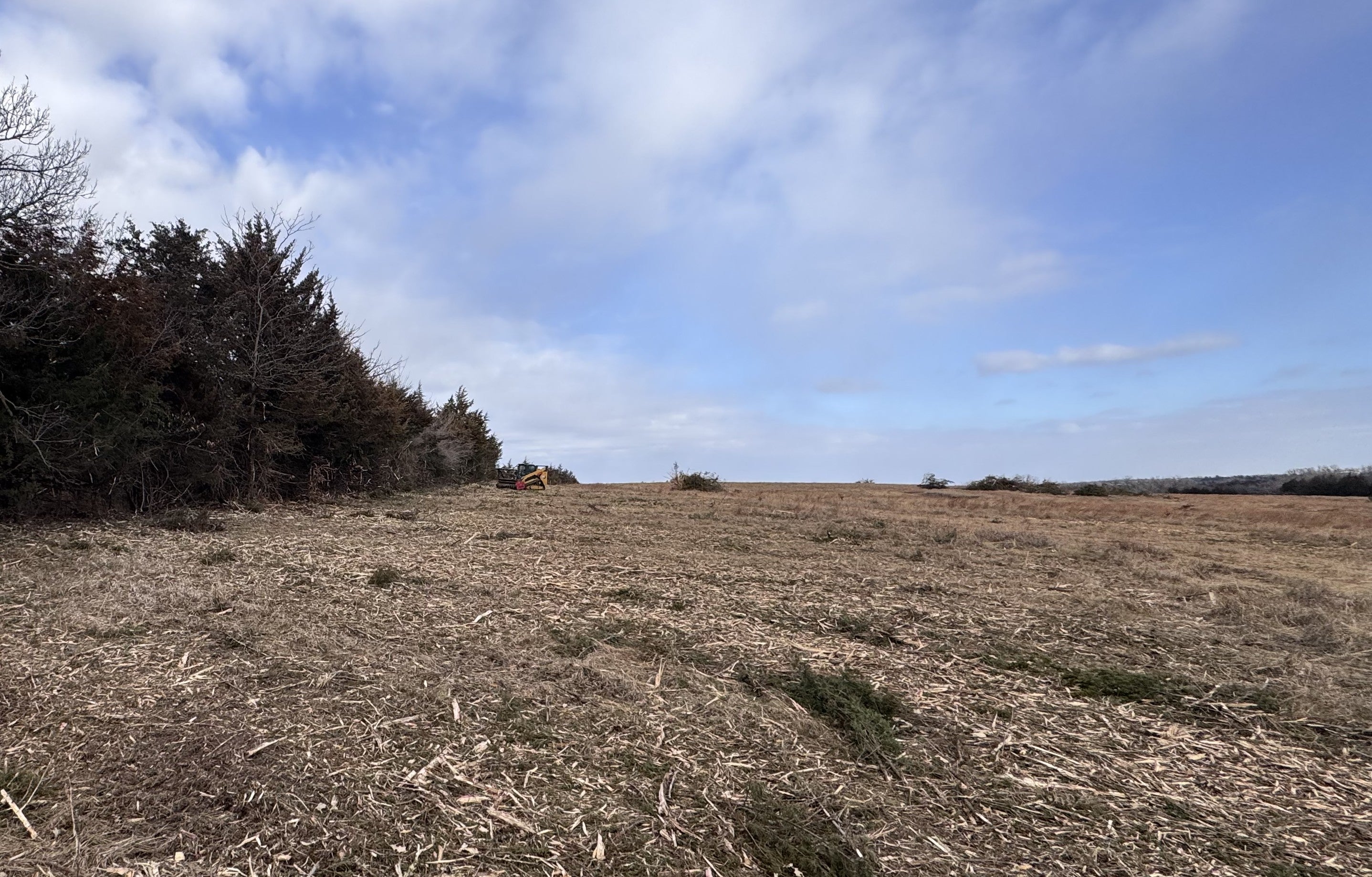 area of land with woody invasives removed